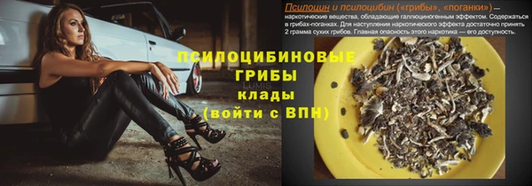 прущий лед Вязники