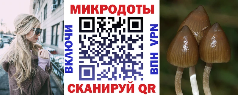 цены наркотик Орёл Псилоцибиновые грибы Psilocybe
